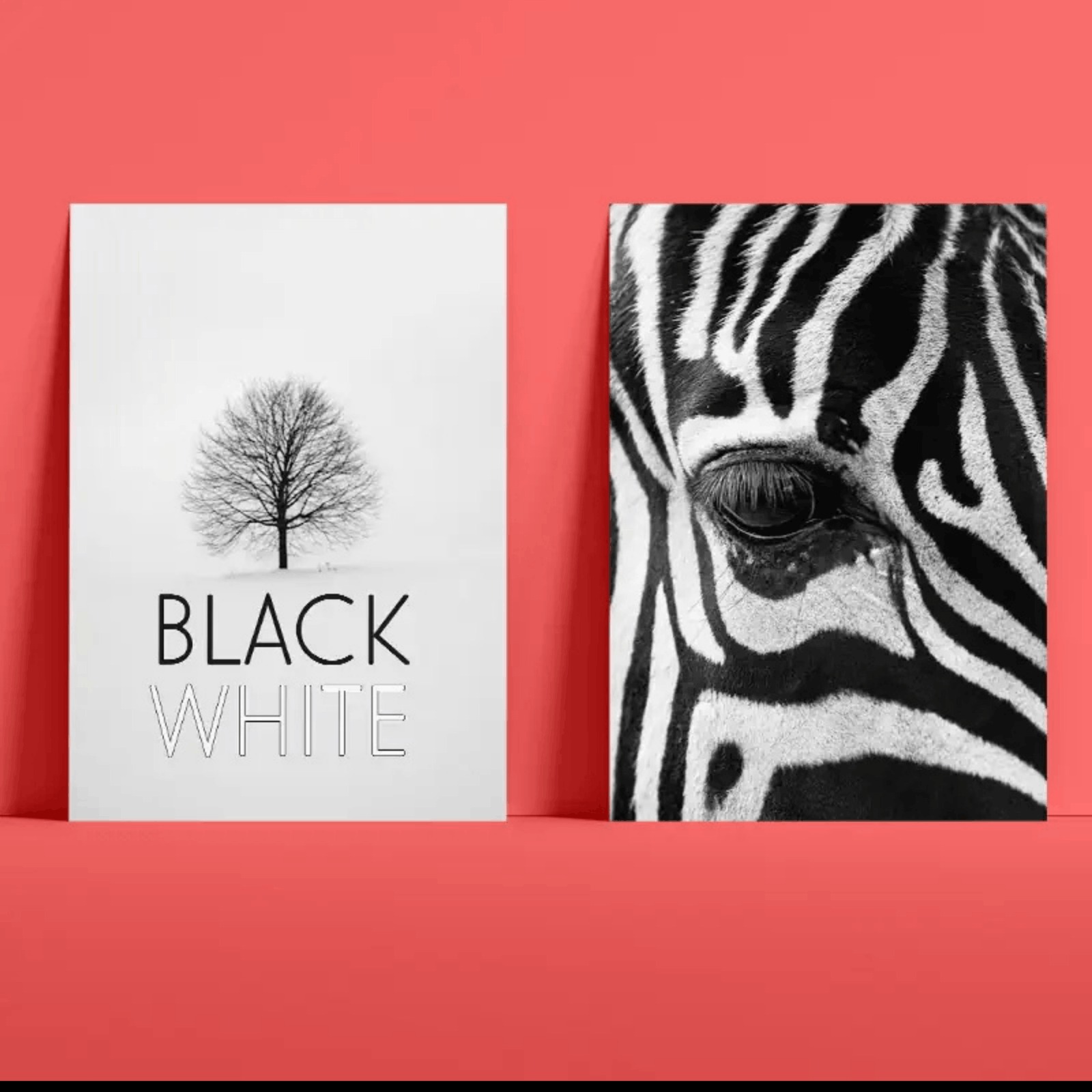 Printing Product Showcase